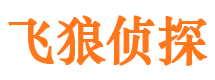 冷水江外遇取证